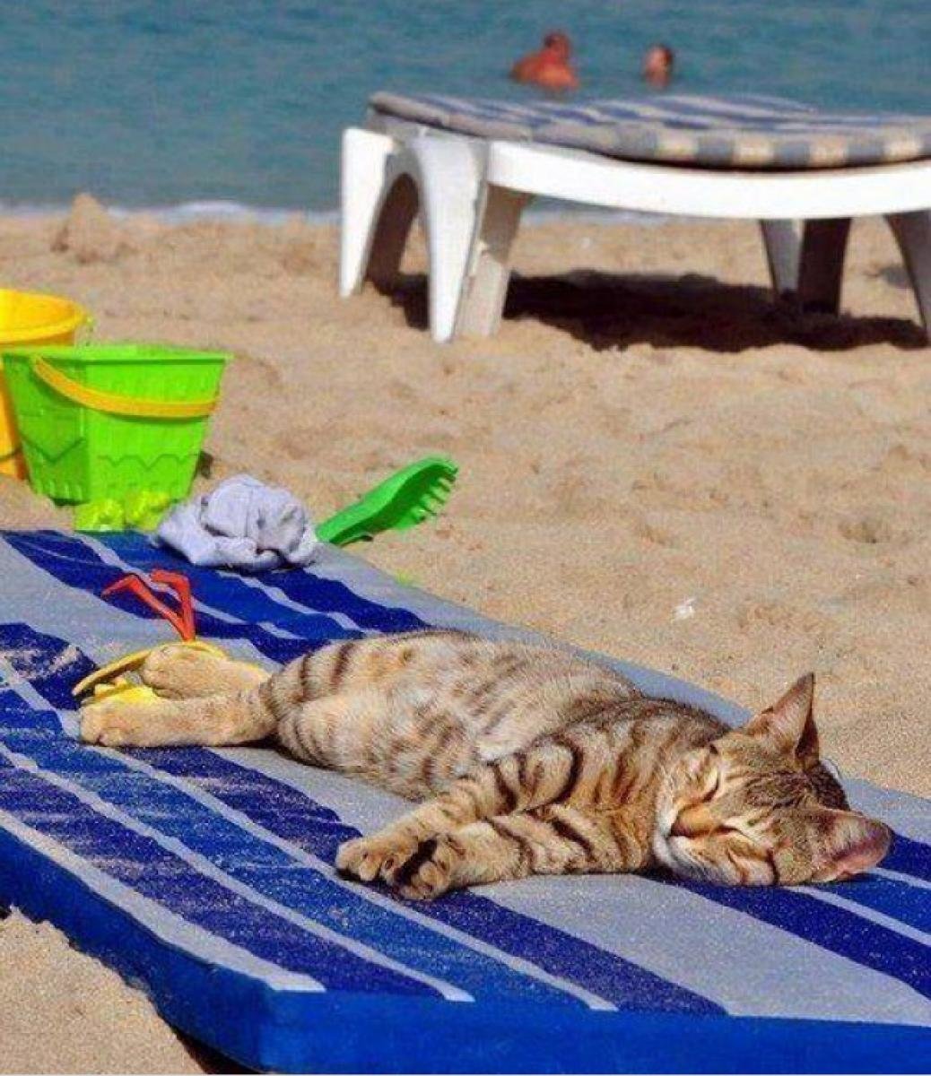 ������� �������� ��� �����, ������� ��������