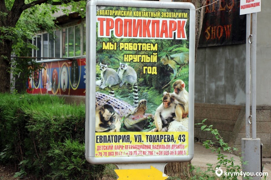 евпаторийский зоопарк тропик парк фото