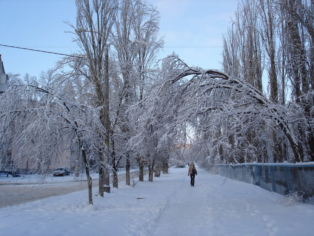 зима фото