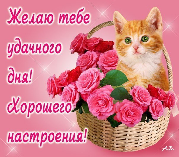 �������, �������� � ��������������