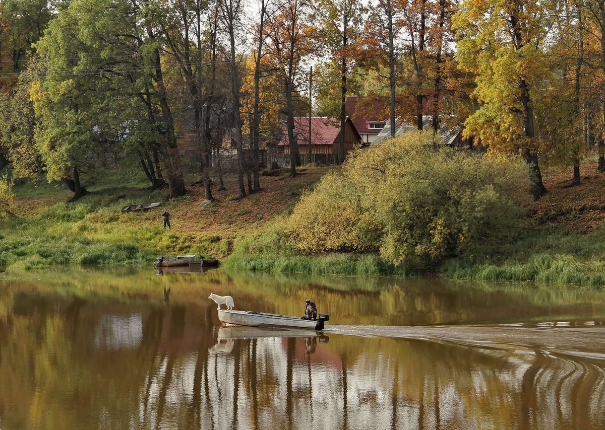 кузьминки водоем фото