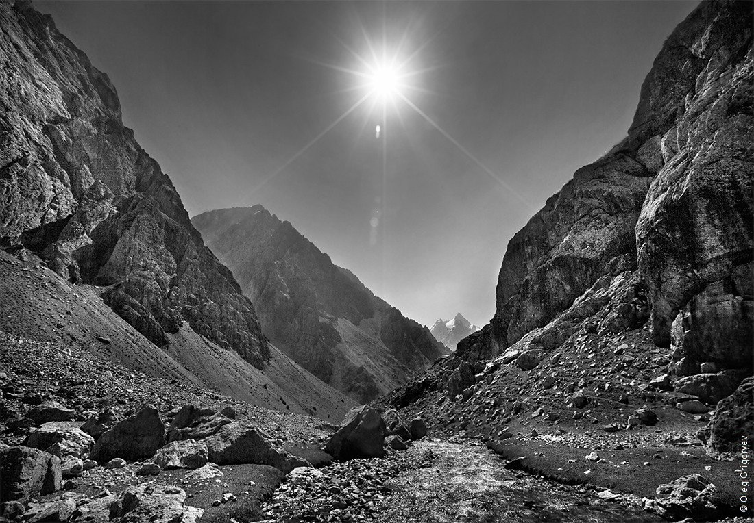 черно белая фотография фото