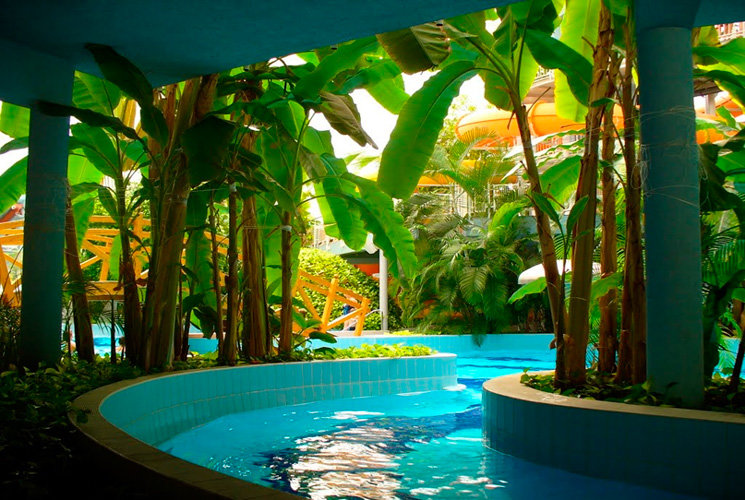 pool фото