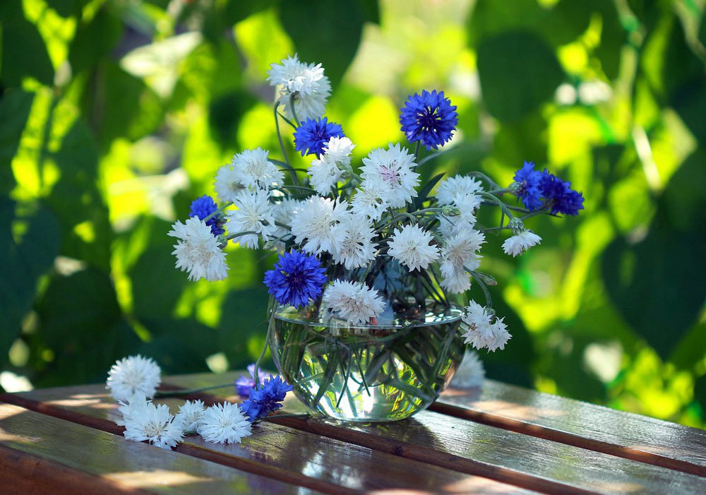 �������� ������� �������� � ������ �����