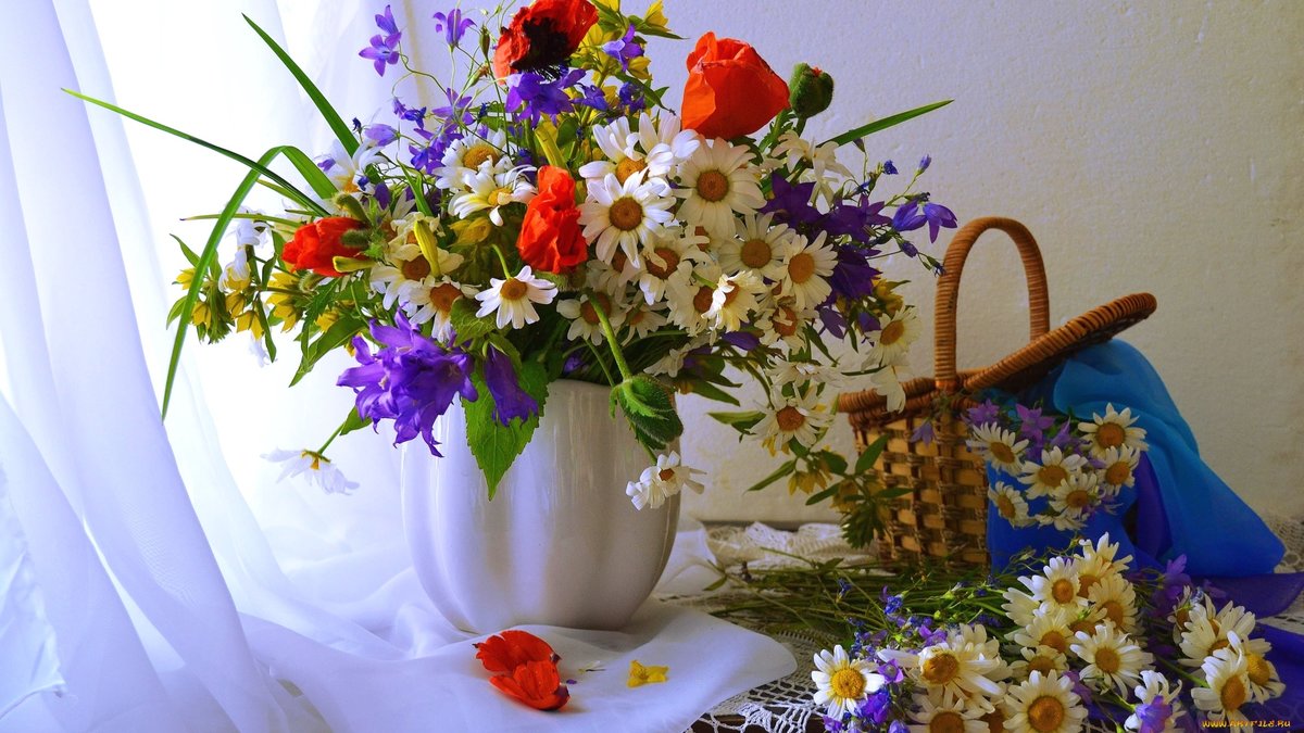 �������� ��������, �������� ������� ����� �����