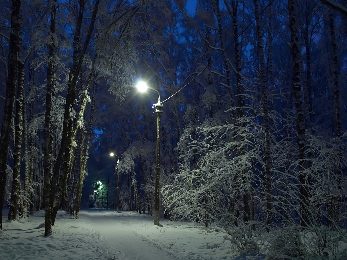 ����� �������� �������� ���� ����