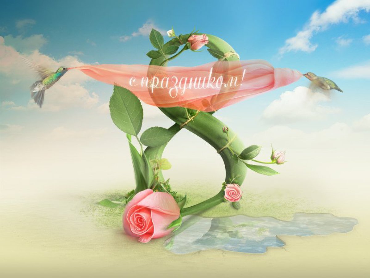 �������� � 8 ����� ��������� ������������