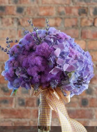 гортензия baladia purple фото