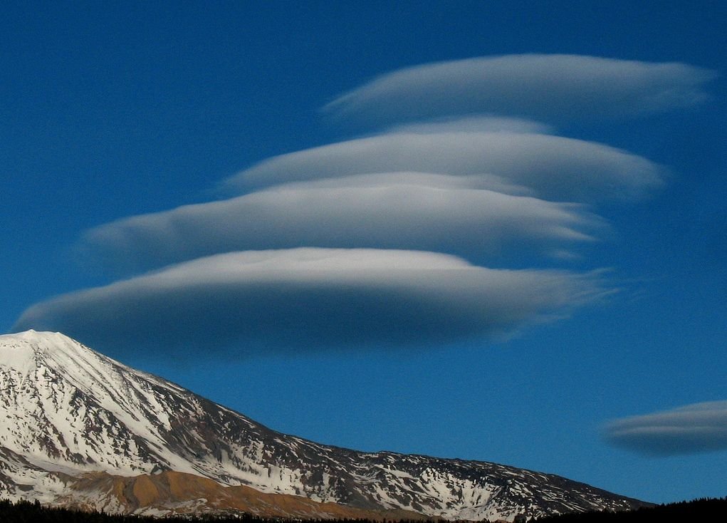 ��������������� ������ ���� ����