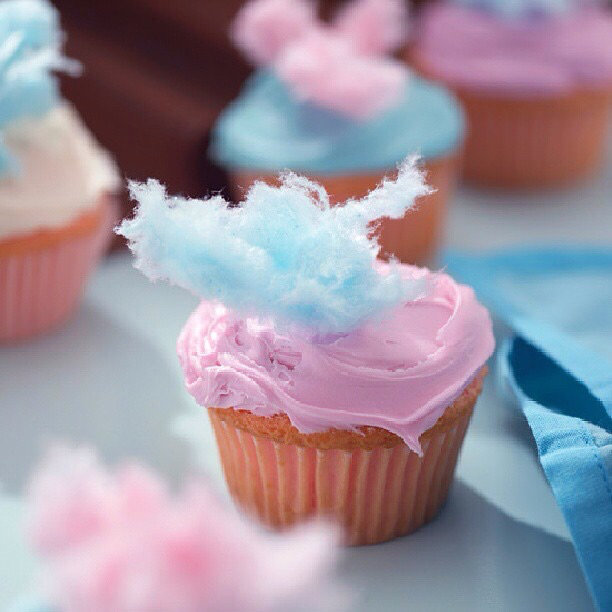candy cupcake фото