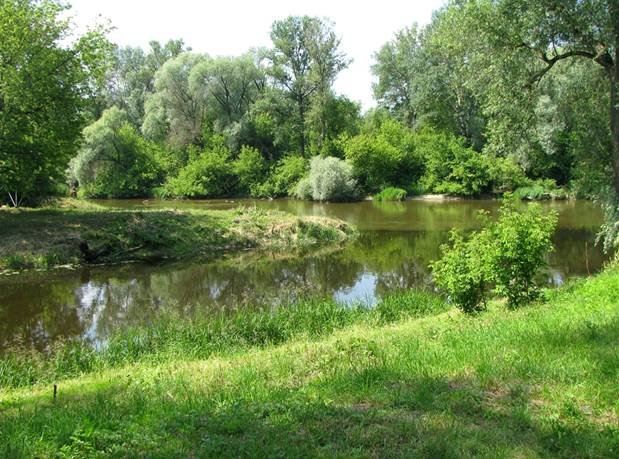 река таруса фото