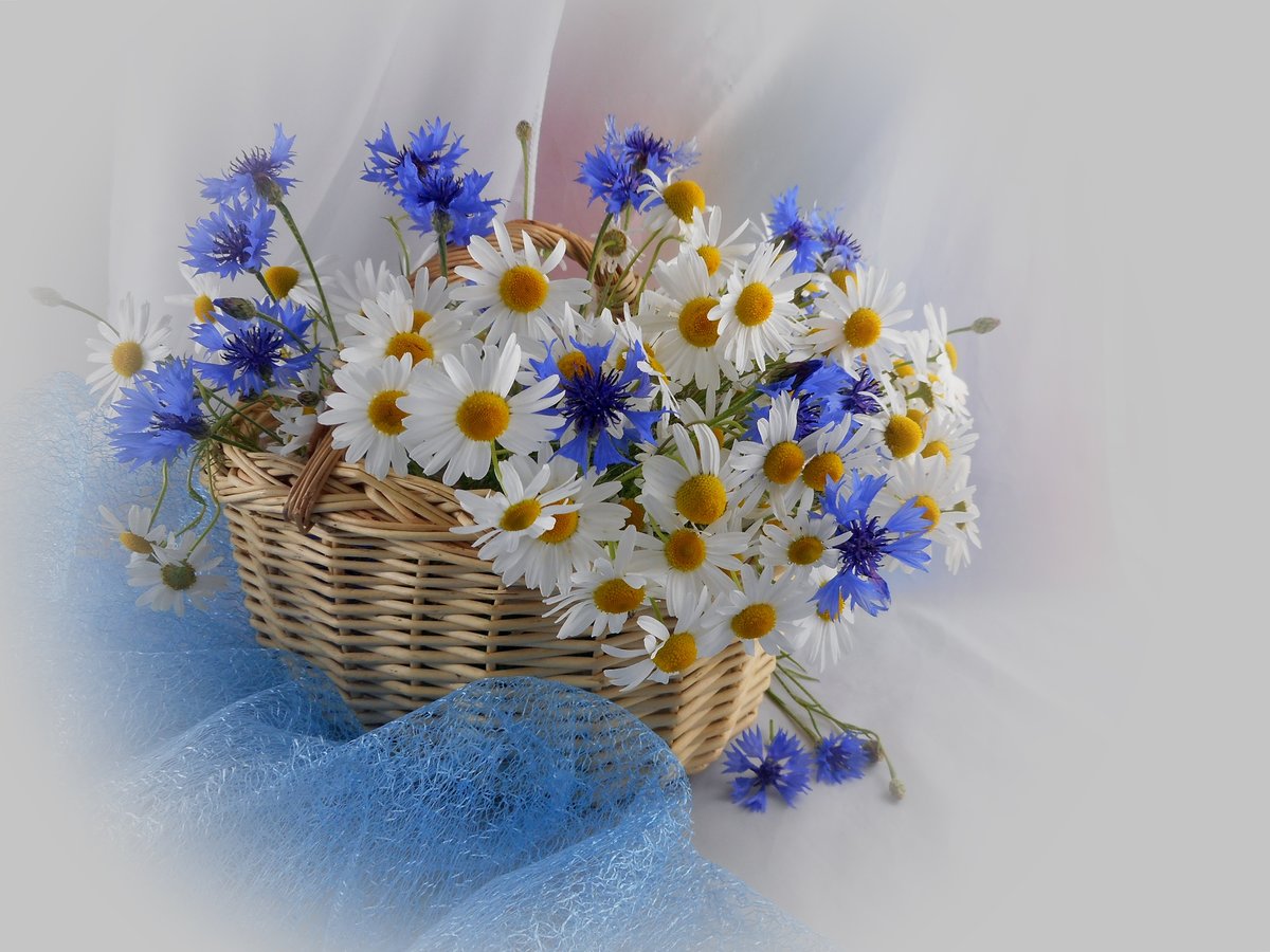 ������� ����������, �������� � ���������� � ��������� � ���� ��������