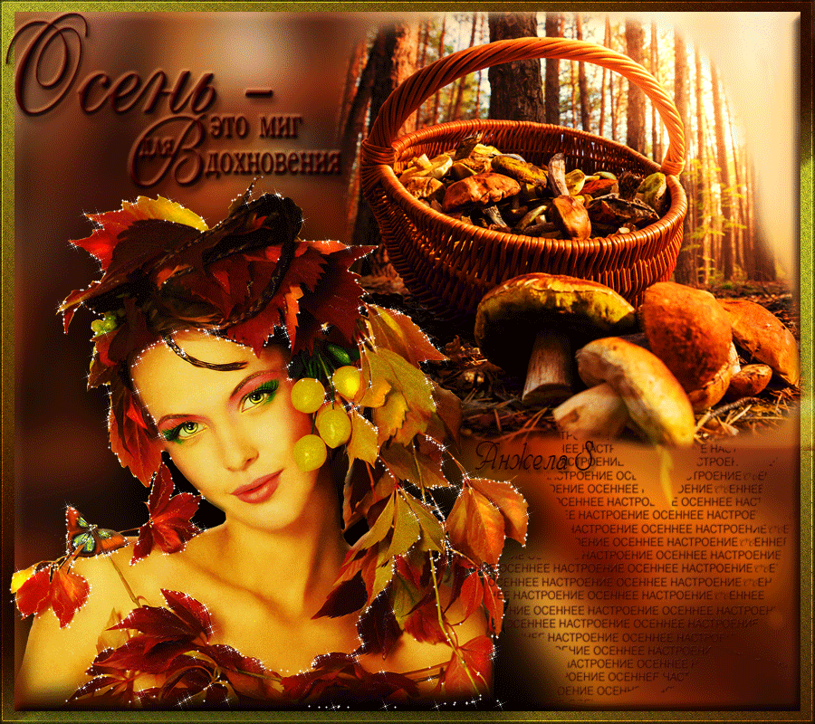 ���� �������, ���������� ����� ��������