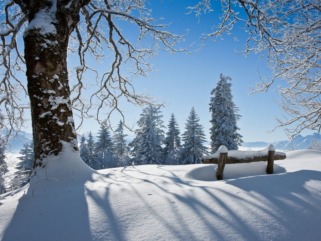 зимние пейзажи фото