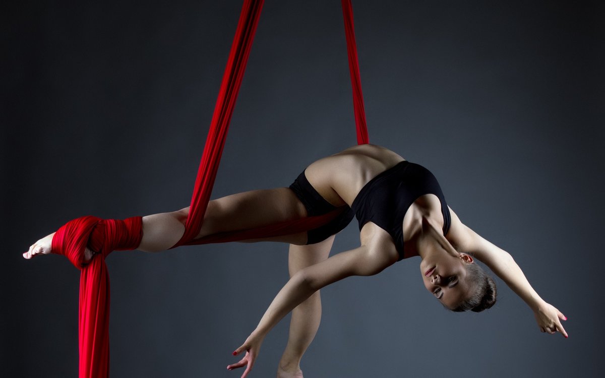 воздушные полотна aerial silks фото