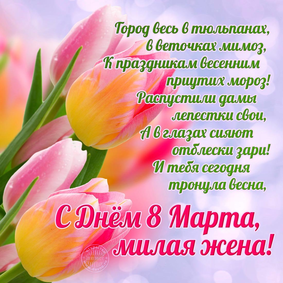 �������� � 8 ����� �����