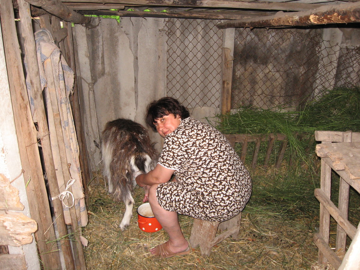 ogromnie-doyki-v-derevne-video