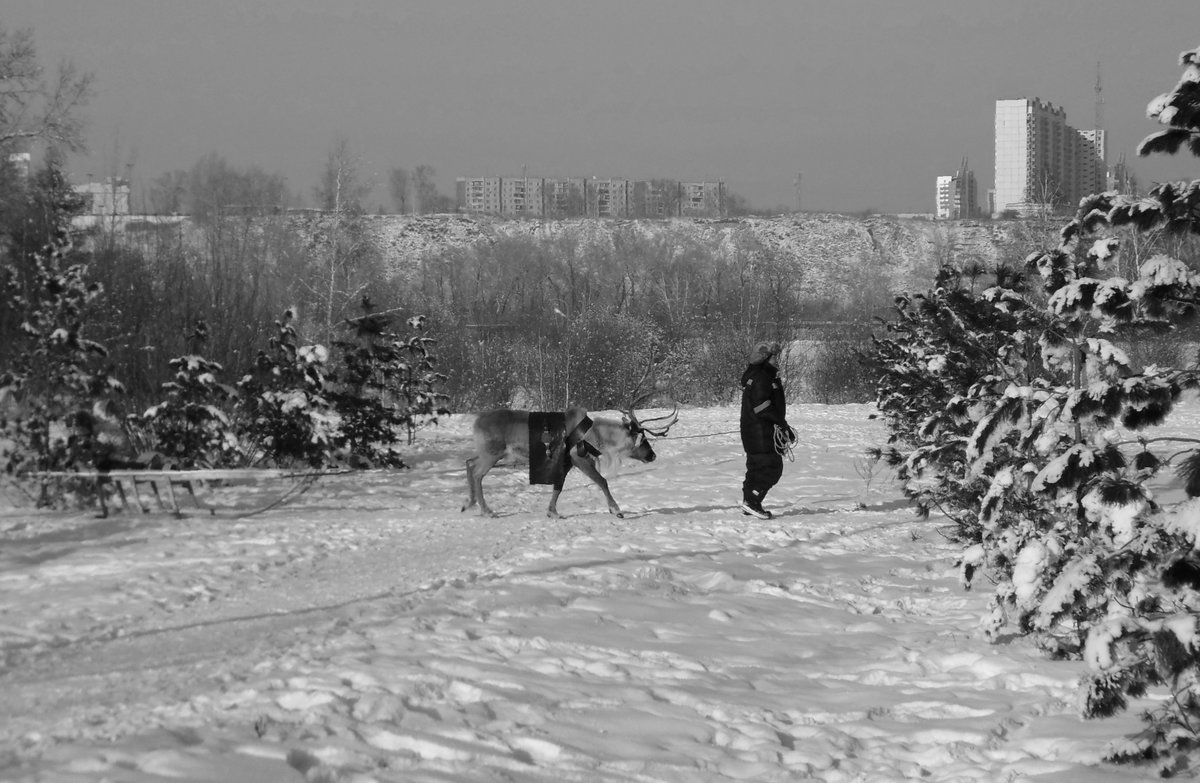 зима фото