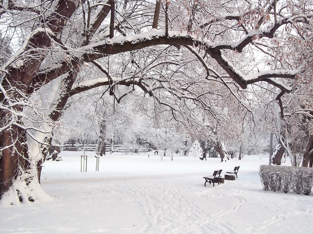 �������� ������ ������