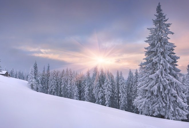пейзаж зимний фото