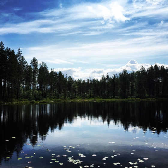 озеро ладмозеро карелия фото