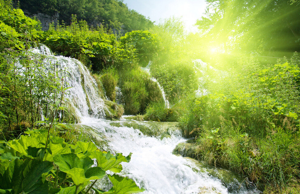 водопад зелень фото
