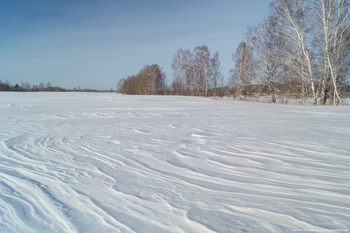 зима поле фото