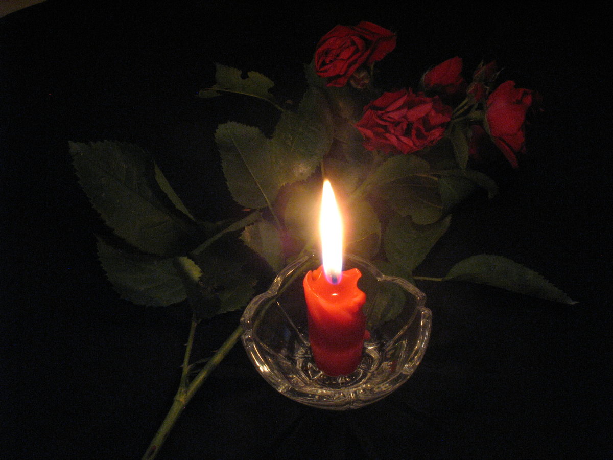 ������, �������� �� ������ � ���� ������