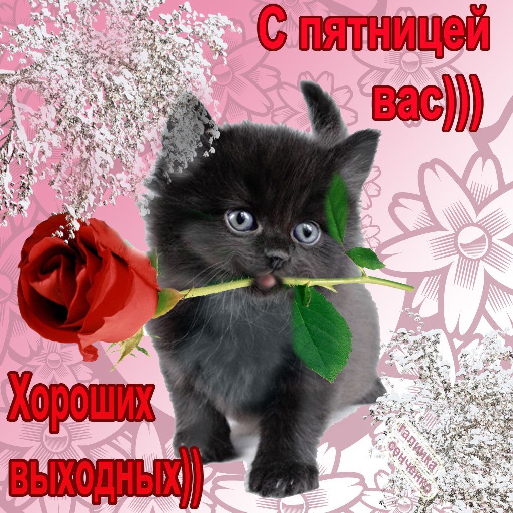 �������� ������������, ������� ������� ��������