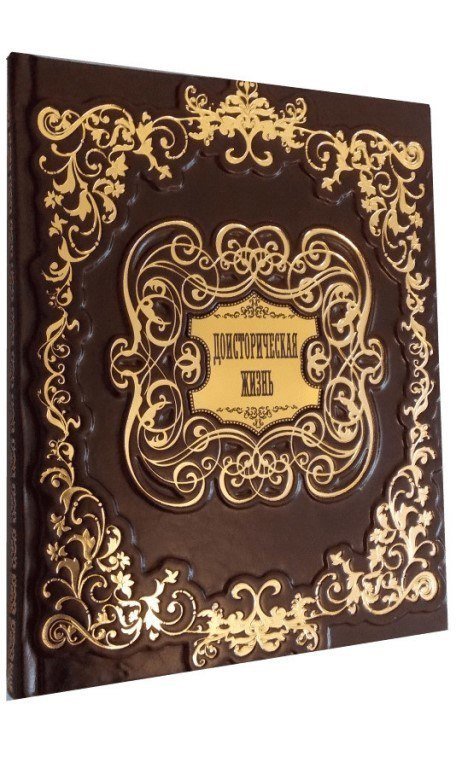 подарочная обложка для книги фото