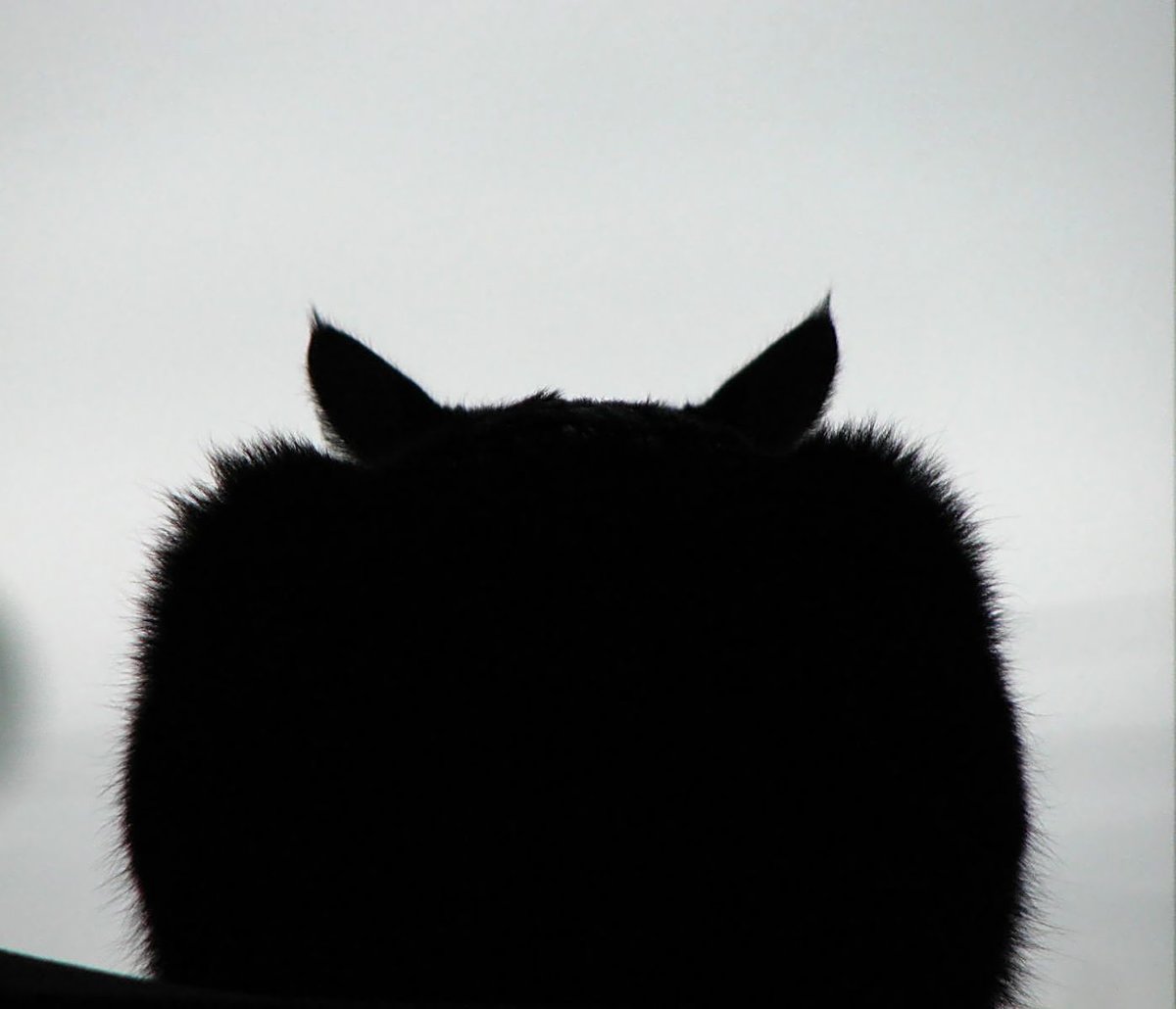 �������� ������� � ����