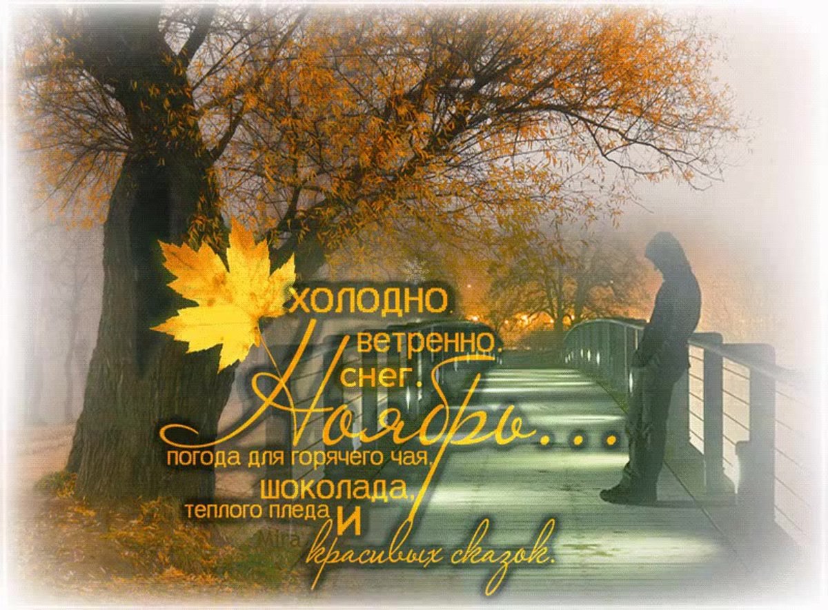 �������� �������� ������