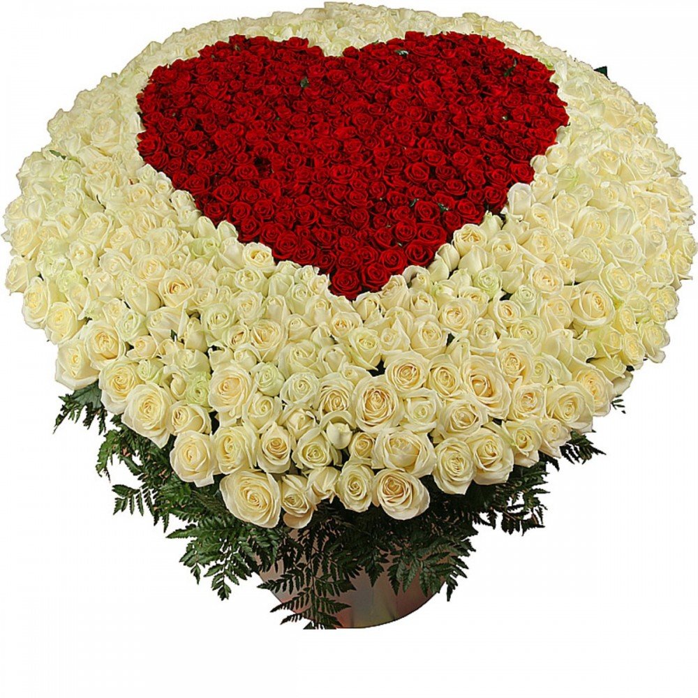 �������� � �������� ������� ��� � ���� ��������