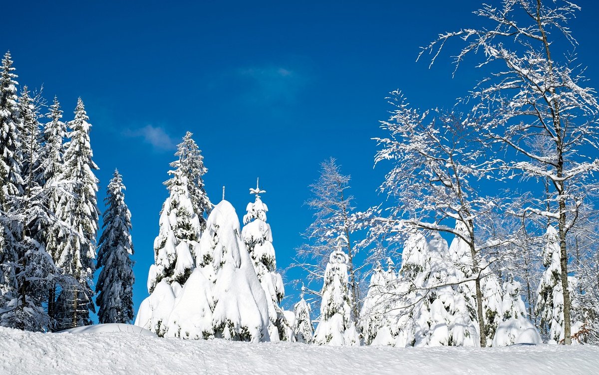 карелия зима фото