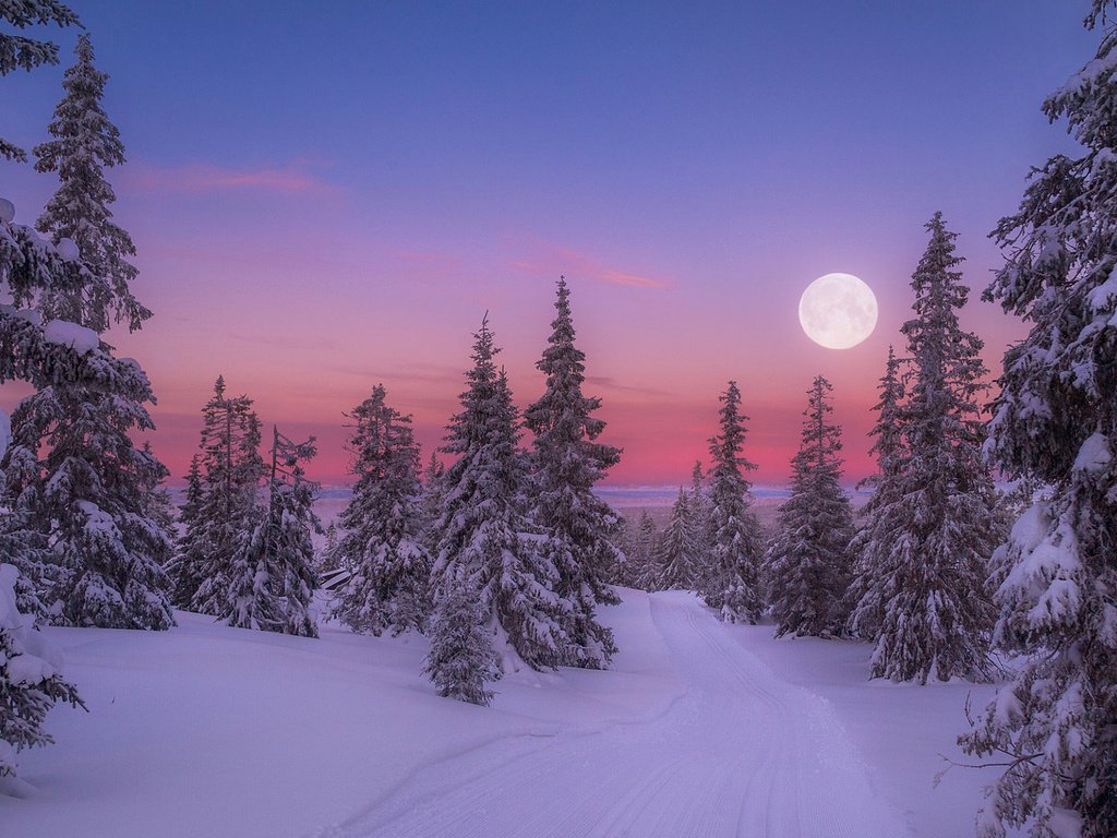 зимний пейзаж фото