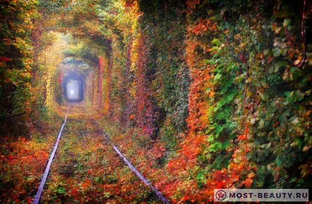tunnel of love фото
