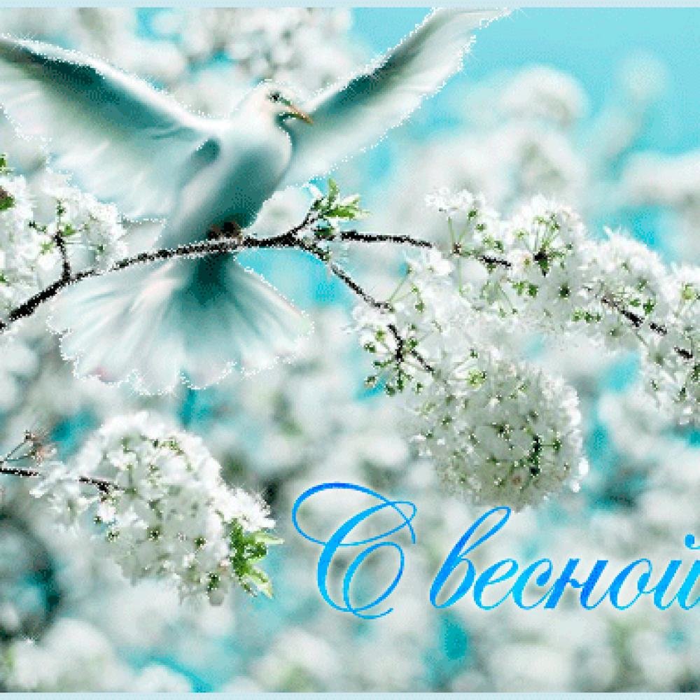 ��������, ����� ������ ���� �������� ��������