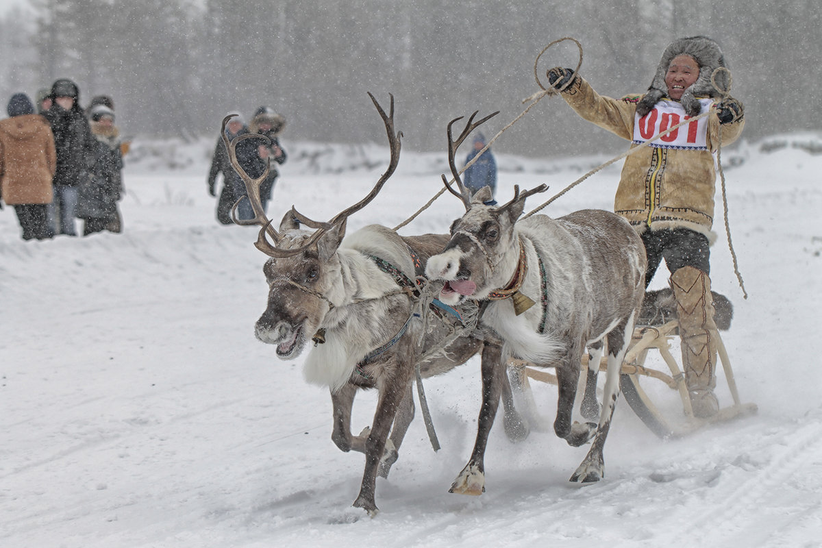 Еще немного!
#deer #reindeer #zhenyalevina #забег #зима #иенгра #нерюнгри #оленевод #олень #эвенки #якутия