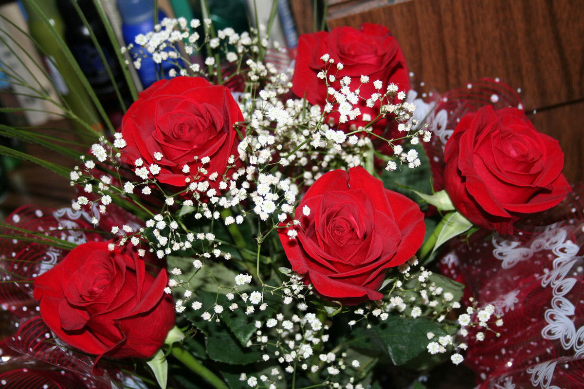 �������� ����� ������� �������, ��������