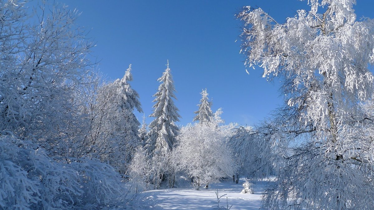 зимний пейзаж иней фото
