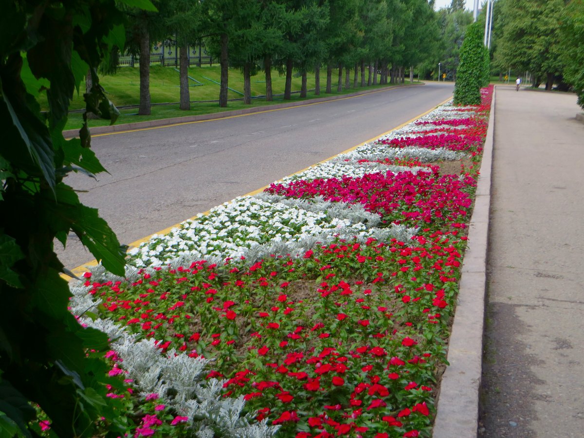 цветники в городе фото