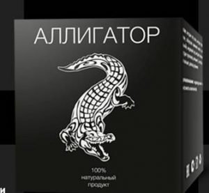 Alligator топ 100 радио рекорд rasster