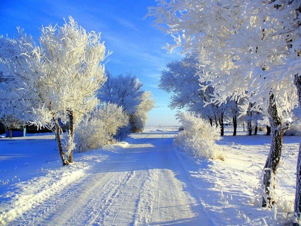 солнечный зимний день фото