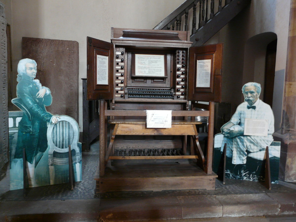 орган фото