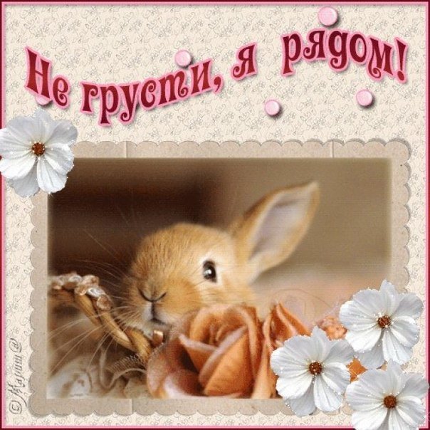 �������� � �������� �� ��