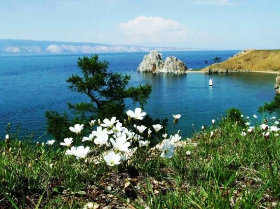 озеро байкал цветы фото
