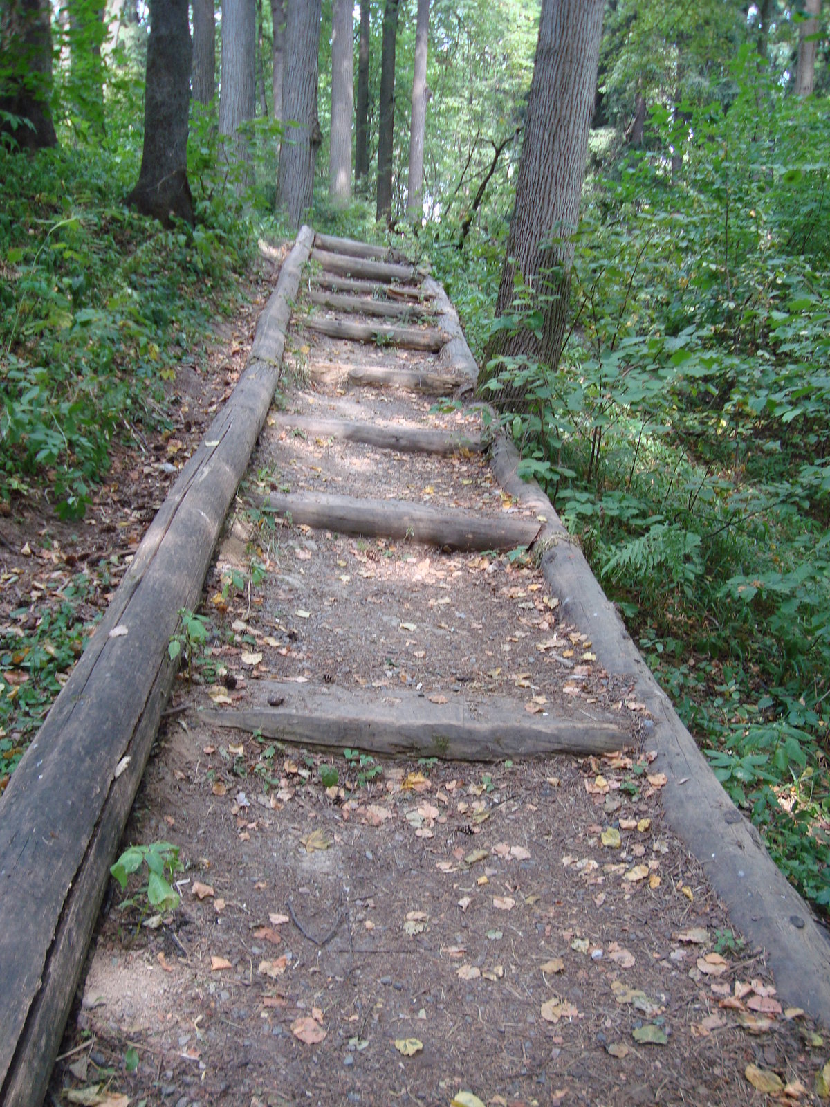 лестница к реке фото