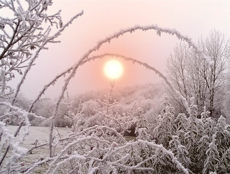 утро зима фото