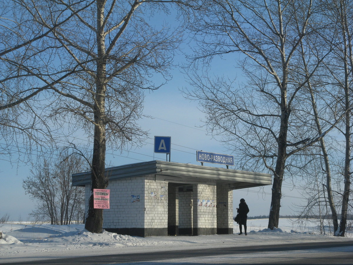 автобусные остановки фото