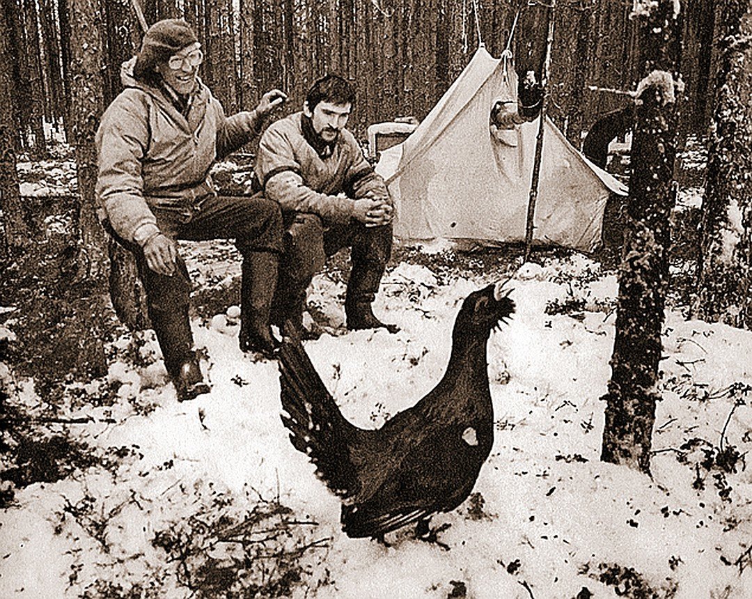 сергей павлович кирпичев орнитолог фото